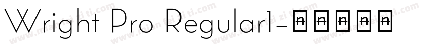 Wright Pro Regular1字体转换